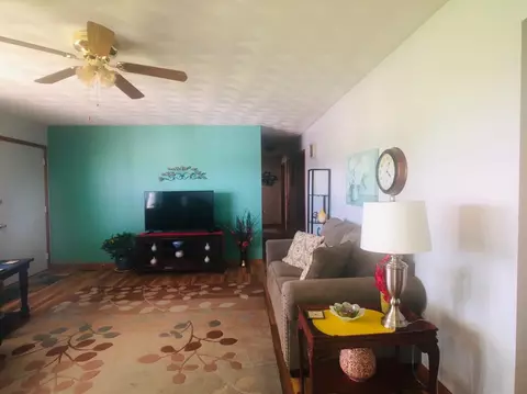 207 E South St, Boswell, IN 47921 photo 7