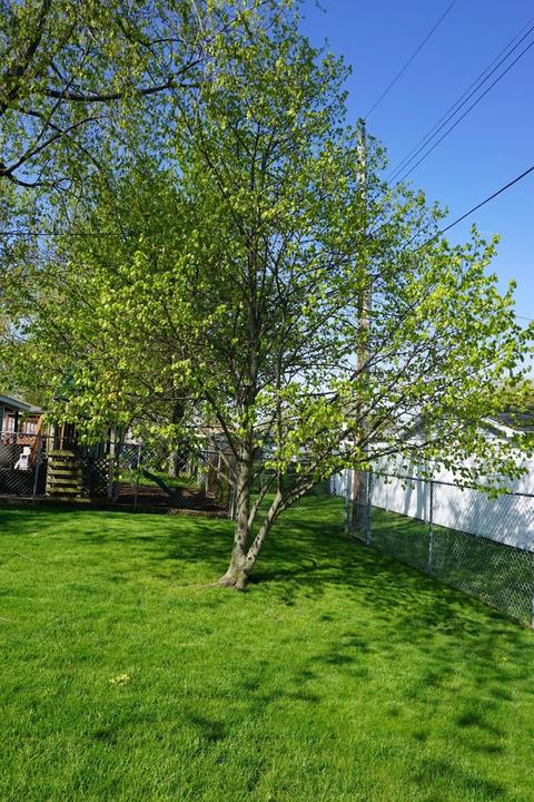 932 Northgate Dr, Dyer, IN 46311 photo 32