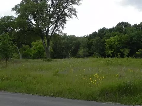 1060 N County Line Rd, Gary, IN 46403 photo 1