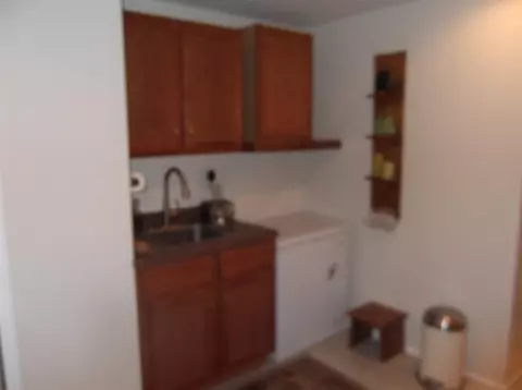 1173 Carol St, Burns Harbor, IN 46304 photo 58