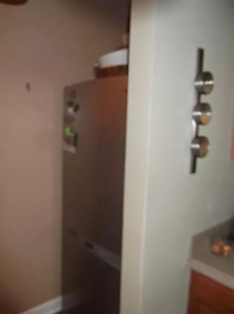 1173 Carol St, Burns Harbor, IN 46304 photo 79