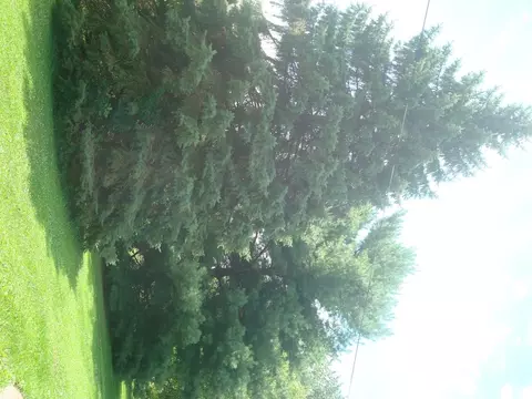 123 E 73rd Ave, Merrillville, IN 46410 photo 23