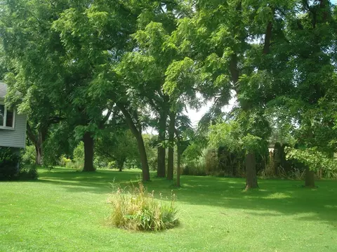 123 E 73rd Ave, Merrillville, IN 46410 photo 24