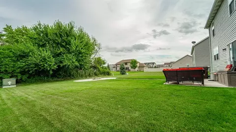 10091 Pearwood Dr, Saint John, IN 46373 photo 30