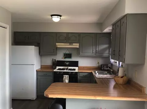 1503 Painted Leaf Dr, Crown Point, IN 46307 photo 9