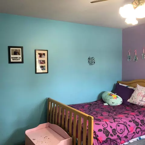 1503 Painted Leaf Dr, Crown Point, IN 46307 photo 21
