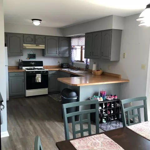 1503 Painted Leaf Dr, Crown Point, IN 46307 photo 10