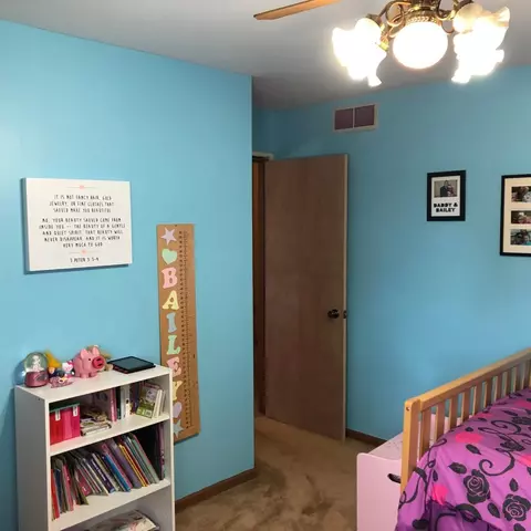1503 Painted Leaf Dr, Crown Point, IN 46307 photo 22