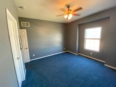 14752 Euclid St, Cedar Lake, IN 46303 photo 29