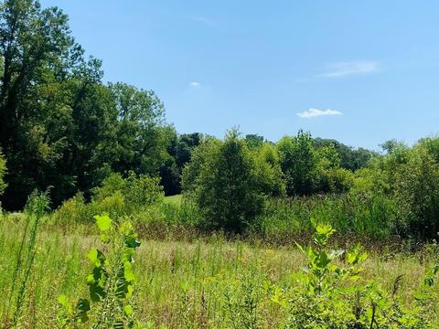 205 E Tratebas Rd, Chesterton, IN 46304 photo 5