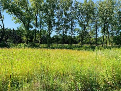 205 E Tratebas Rd, Chesterton, IN 46304 photo 4