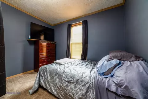 10865 N 593, De Motte, IN 46310 photo 20