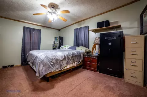 10865 N 593, De Motte, IN 46310 photo 24