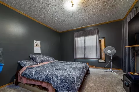 10865 N 593, De Motte, IN 46310 photo 10