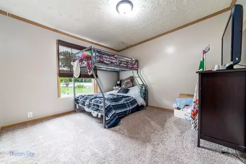 10865 N 593, De Motte, IN 46310 photo 18