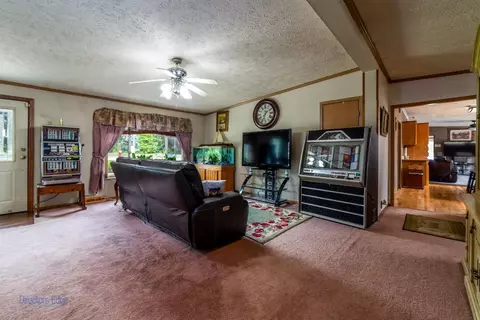 10865 N 593, De Motte, IN 46310 photo 21