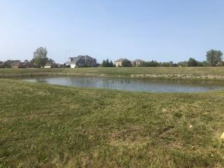 523 Lucy Ln, Munster, IN 46321 photo 4