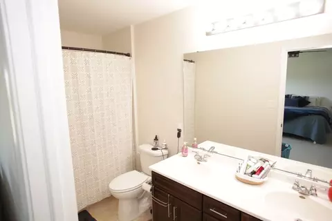 13121 Hayes St, Crown Point, IN 46307 photo 14