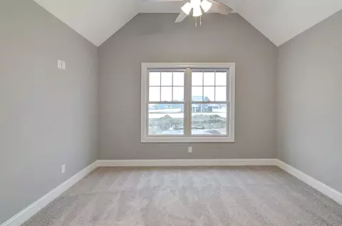 10015 White Jasmine Dr, Saint John, IN 46373 photo 23