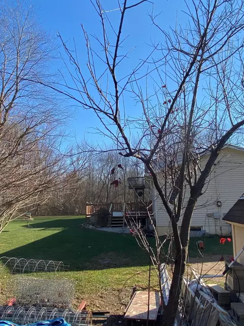 501 Francis St, Porter, IN 46304 photo 16