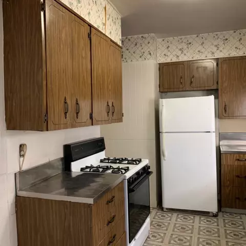 150 W 46th Ave, Gary, IN 46408 photo 4