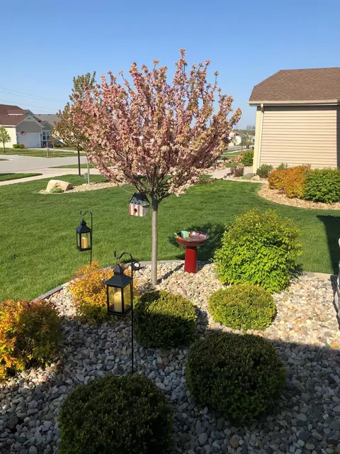 15034 W 102nd Ave, Dyer, IN 46311 photo 22
