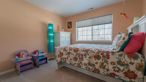 11101 Vermont Cir, Crown Point, IN 46307 photo 14