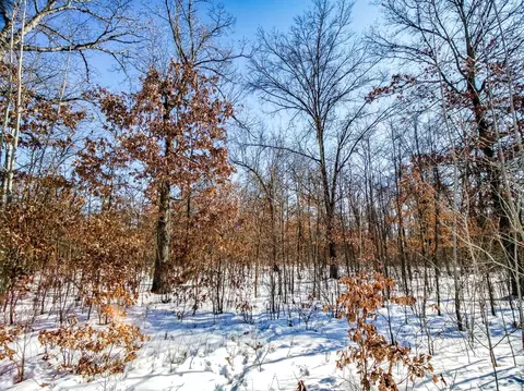 3041 Kelly Jo Ct, Wheatfield, IN 46392 photo 3