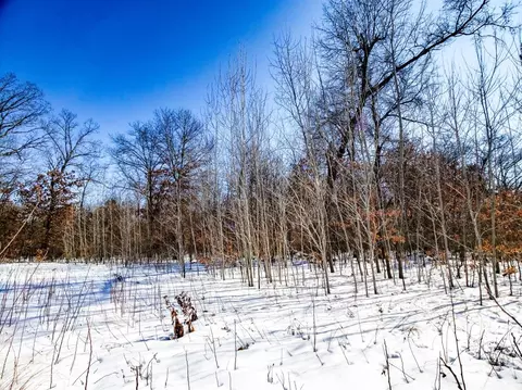 3041 Kelly Jo Ct, Wheatfield, IN 46392 photo 4
