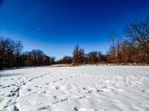 3041 Kelly Jo Ct, Wheatfield, IN 46392 photo 5