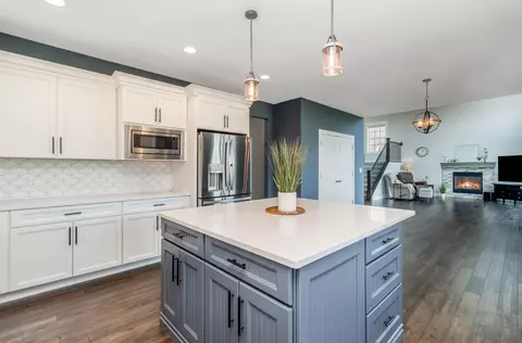 9809 Tall Grass Trl, Saint John, IN 46373 photo 14