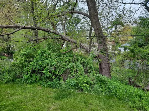 8116 Locust Ave, Gary, IN 46403 photo 27