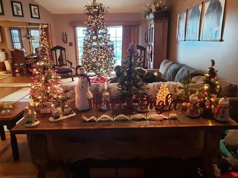 645 E Kentucky Rd, Beecher, IL 60401 photo 39