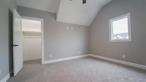 10020 White Jasmine Dr, Saint John, IN 46373 photo 54