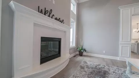 10020 White Jasmine Dr, Saint John, IN 46373 photo 16