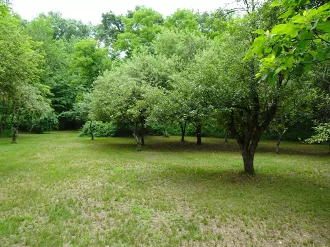 2295 E 150, Knox, IN 46534 photo 16