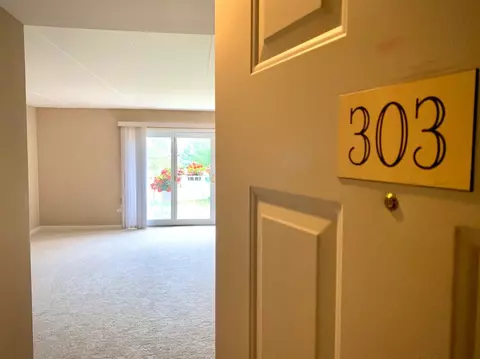 303 Swan Dr #1-D, Dyer, IN 46311 photo 12