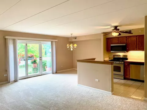 303 Swan Dr #1-D, Dyer, IN 46311 photo 15