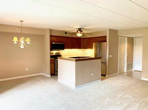 303 Swan Dr #1-D, Dyer, IN 46311 photo 16