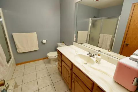 217 Eagle Ct, Dyer, IN 46311 photo 20