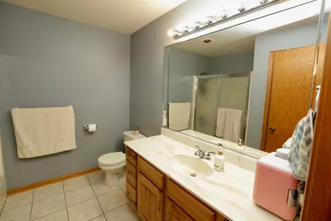 217 Eagle Ct, Dyer, IN 46311 photo 14