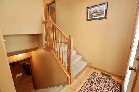 217 Eagle Ct, Dyer, IN 46311 photo 12