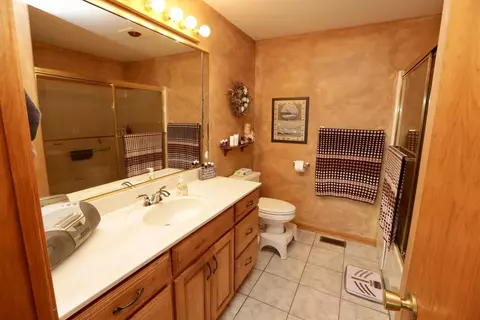 217 Eagle Ct, Dyer, IN 46311 photo 19