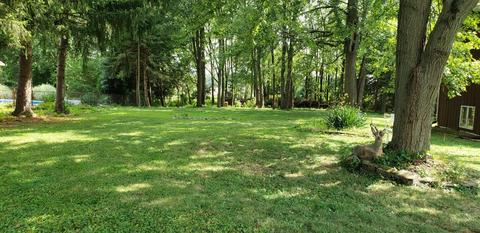 3919 Bonnie Dr, Crown Point, IN 46307 photo 1