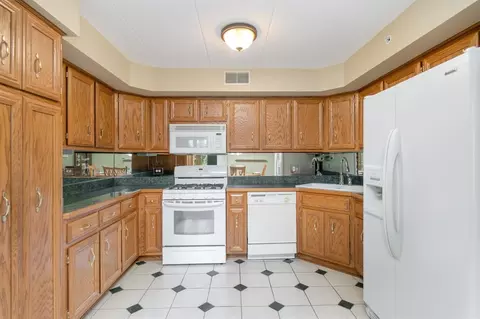 204 Swan Dr #1-E, Dyer, IN 46311 photo 7