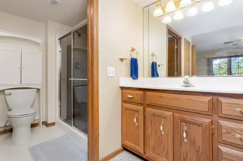 204 Swan Dr #1-E, Dyer, IN 46311 photo 13