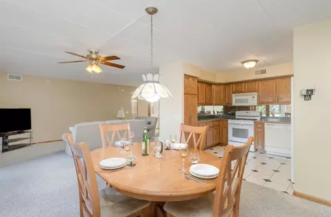 204 Swan Dr #1-E, Dyer, IN 46311 photo 8