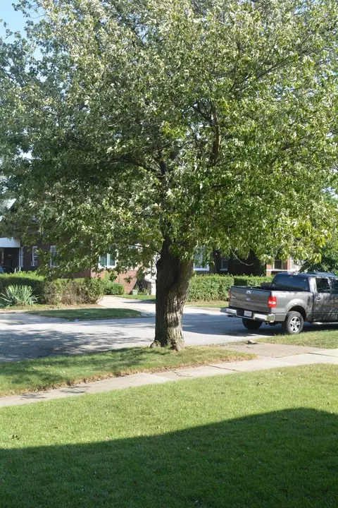 3618 Adams St, Gary, IN 46408 photo 7