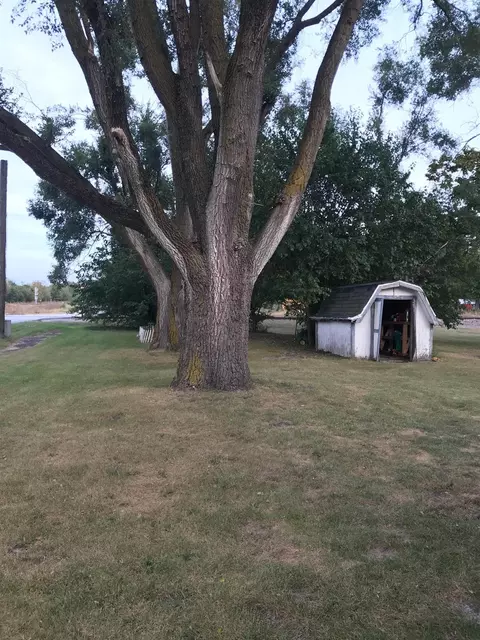 23617 Parrish Ave, Schneider, IN 46376 photo 2