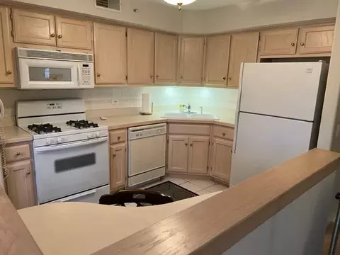 207 Swan Dr #2-C, Dyer, IN 46311 photo 5